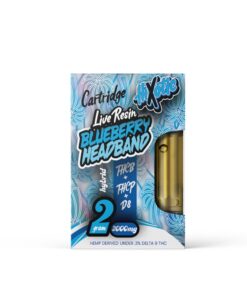 Hixotic THC-P Blueberry Headband Cartridge - 2000mg